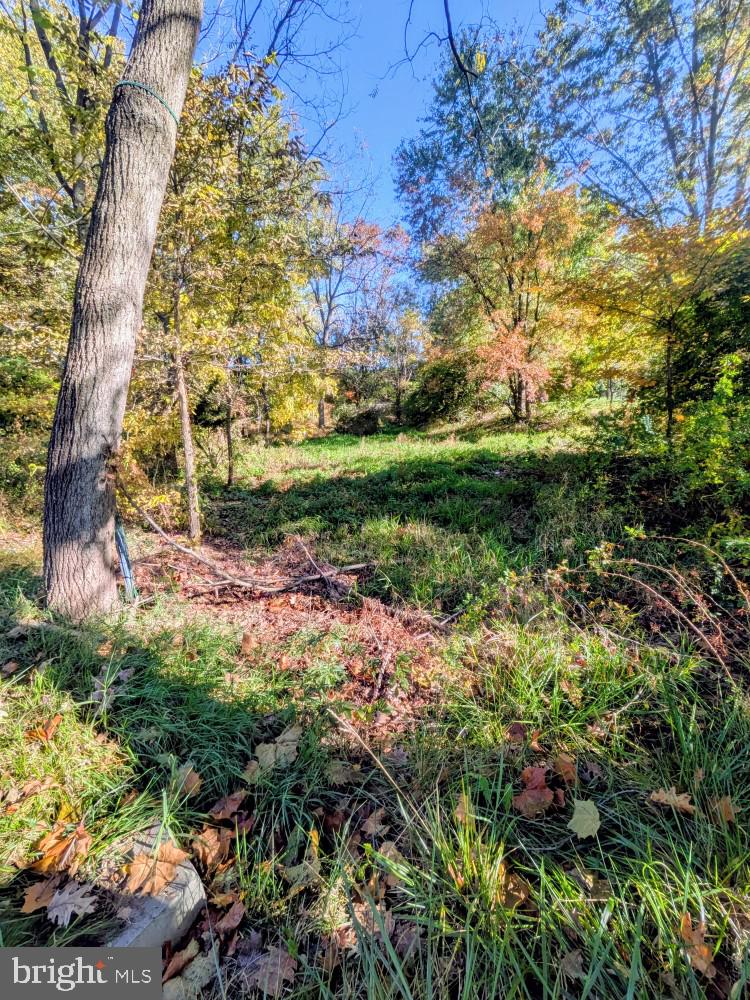 1485 GRAYSTONE ROAD