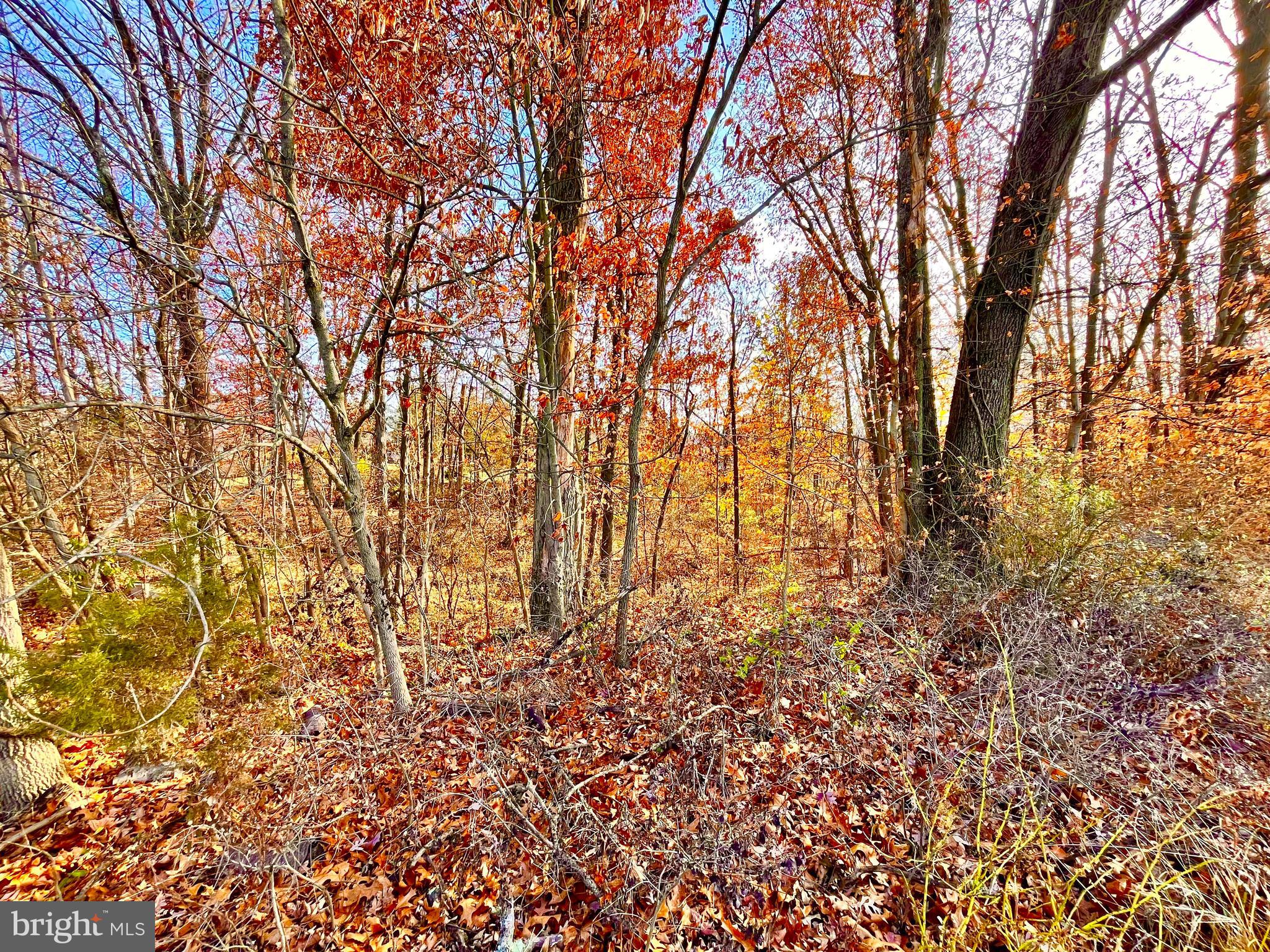 Located at the end of a no through street is this wooded (nearly) acre lot. Water would most likely be supplied by well and public sewer is available in the street. Property is within Pottsgrove School District.