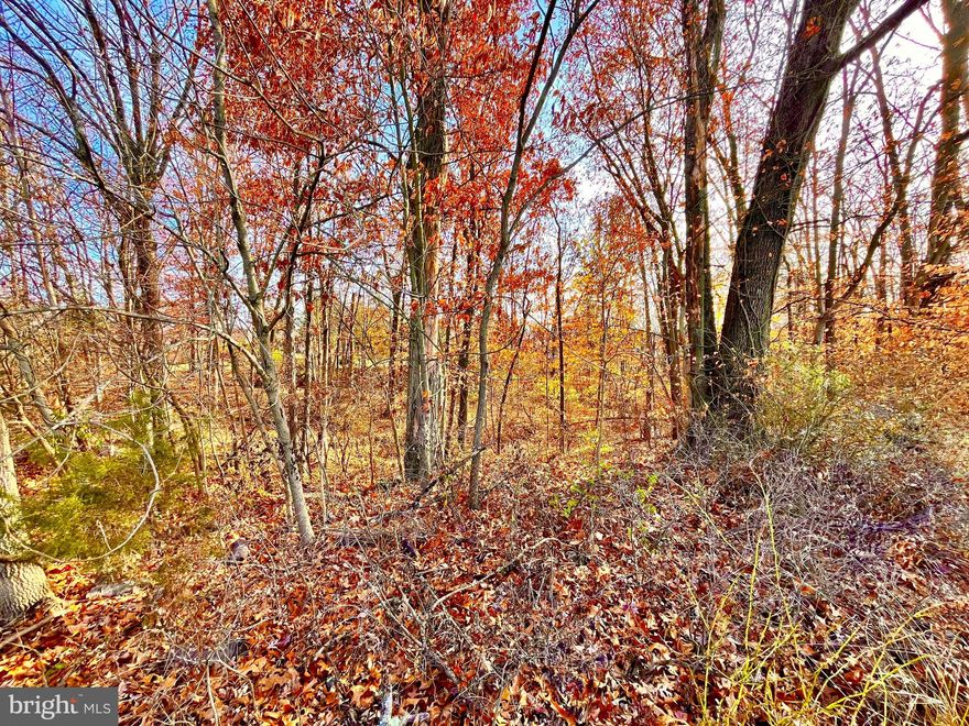 Located at the end of a no through street is this wooded (nearly) acre lot. Water would most likely be supplied by well and public sewer is available in the street. Property is within Pottsgrove School District. Use 1536 Brooke Rd for GPS purposes.