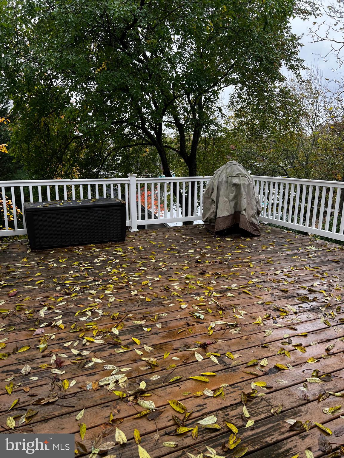 GREEN HAVEN - Residential Lease