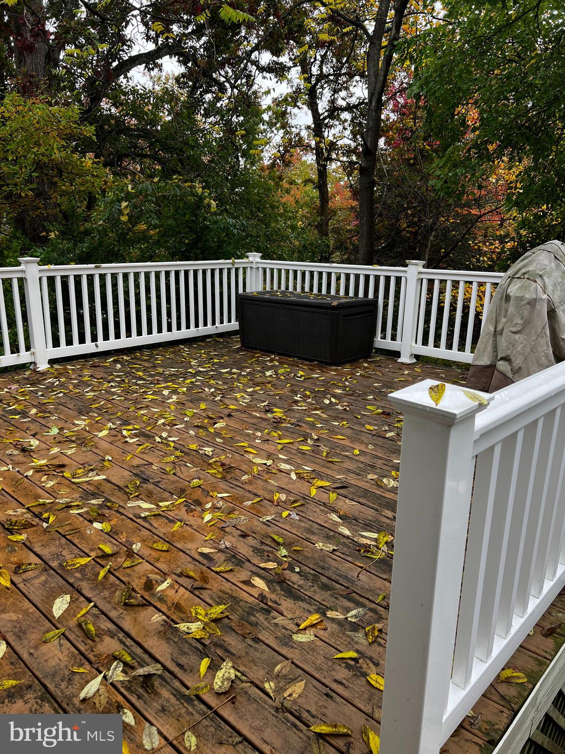 GREEN HAVEN - Residential Lease