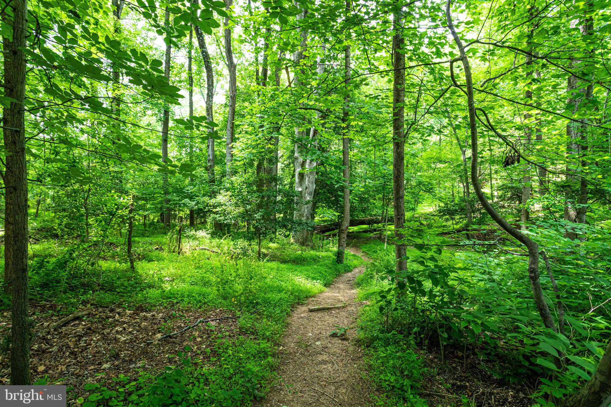 WOLF TRAP WOODS - Residential