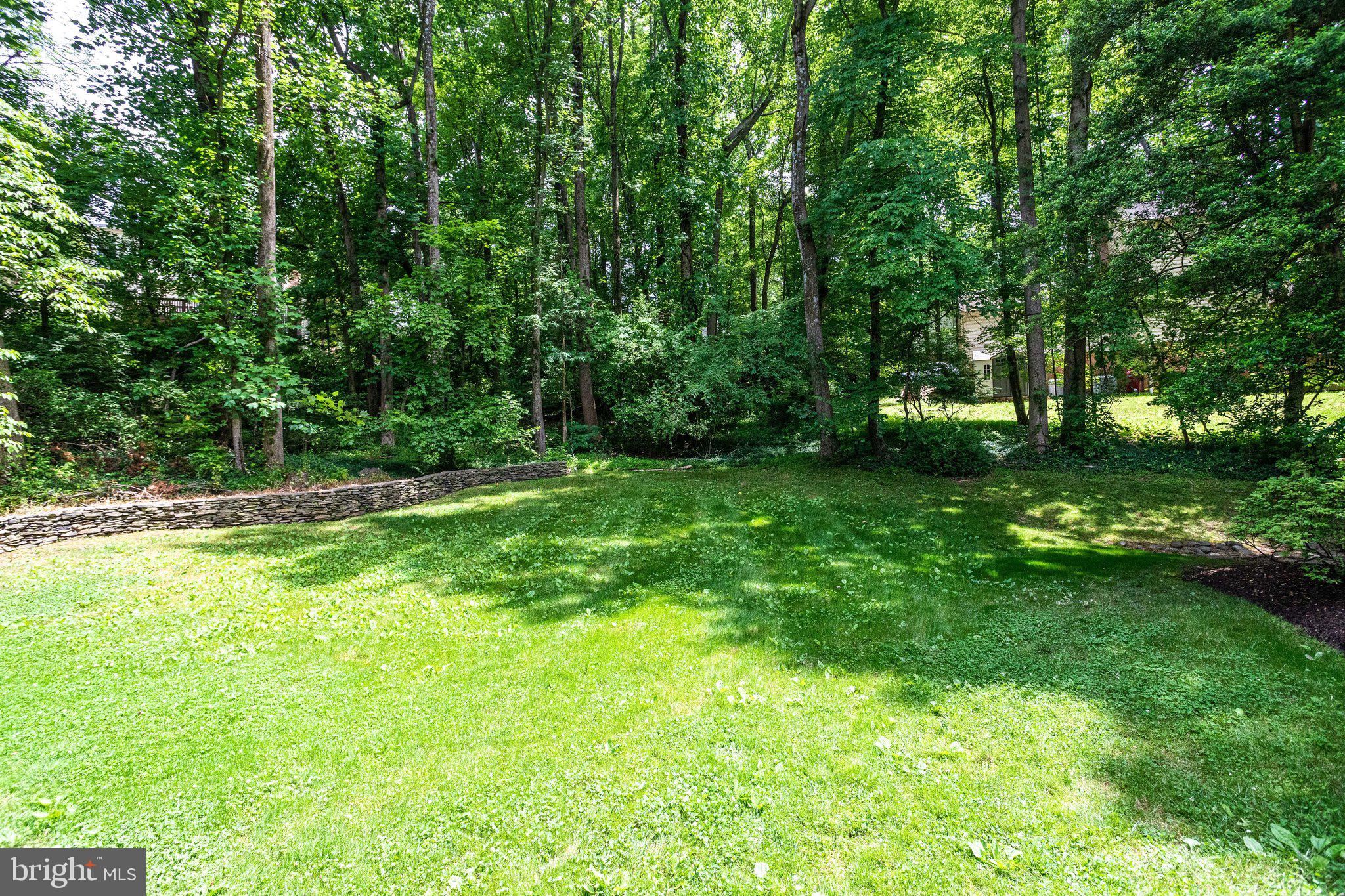 WOLF TRAP WOODS - Residential