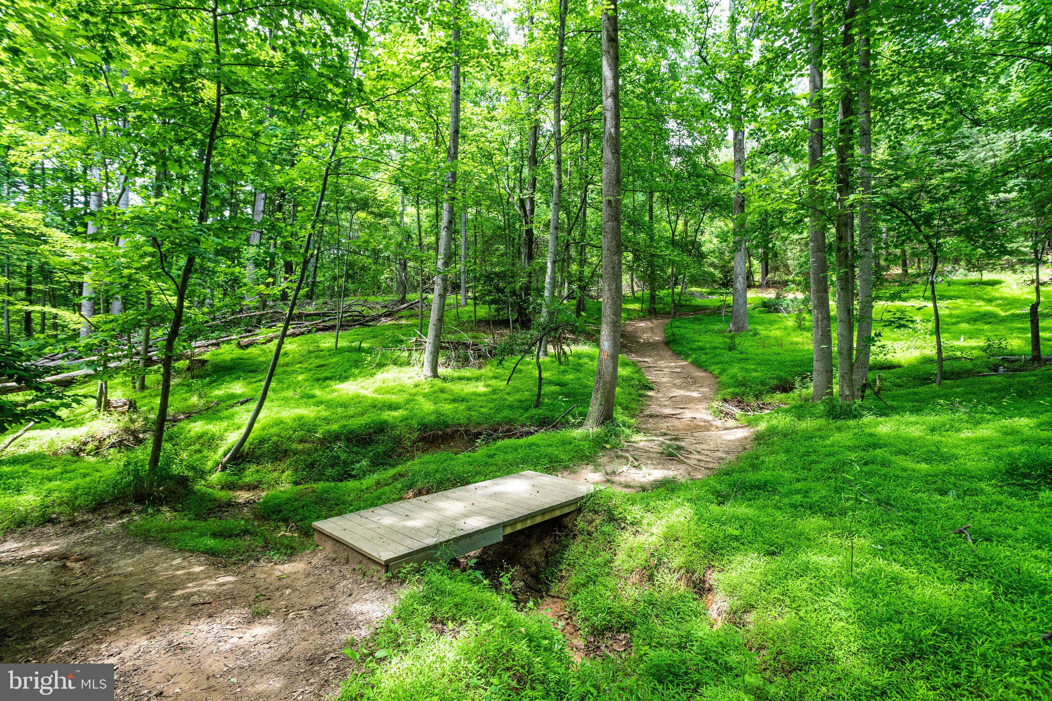 WOLF TRAP WOODS - Residential