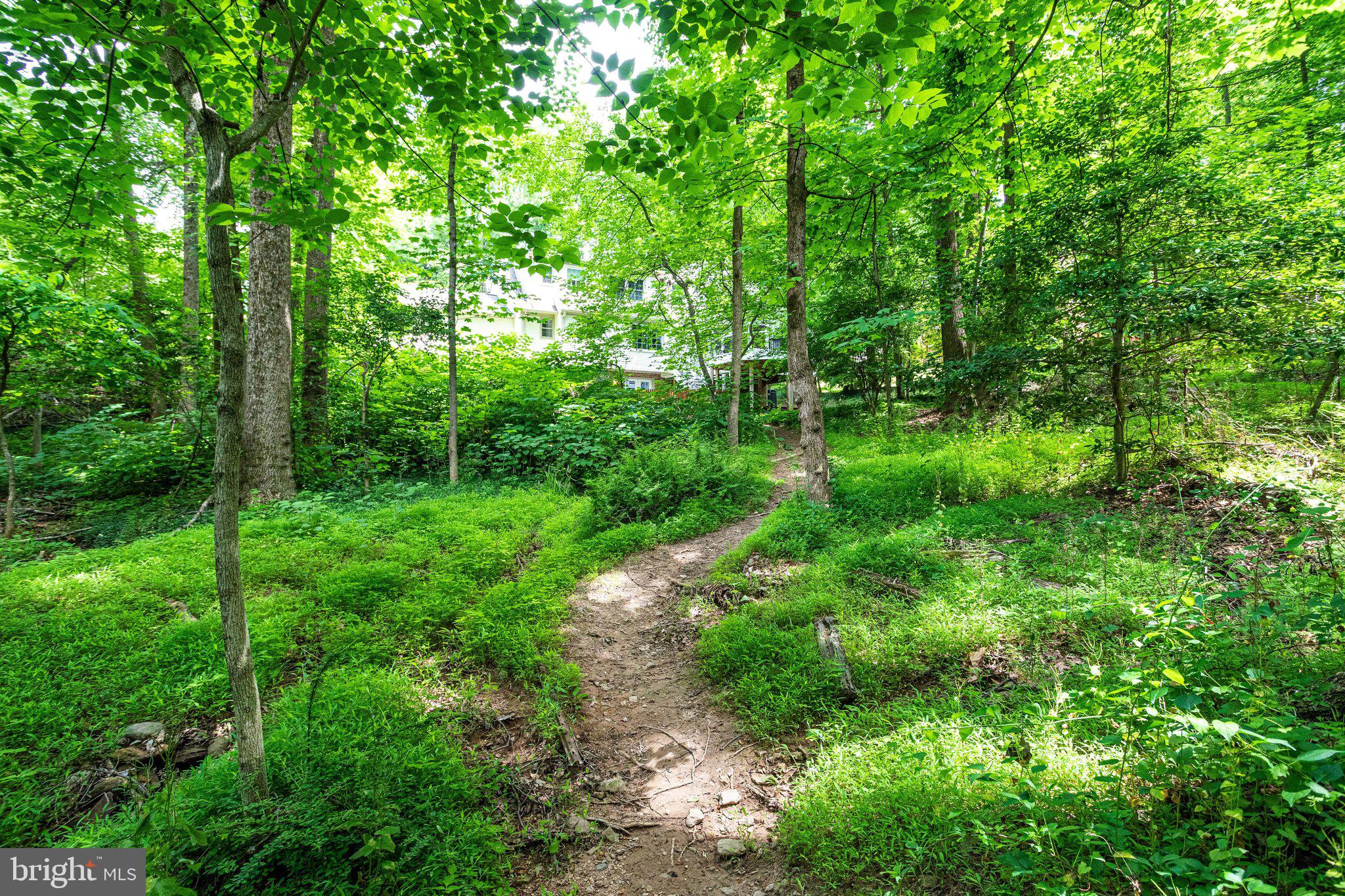 WOLF TRAP WOODS - Residential