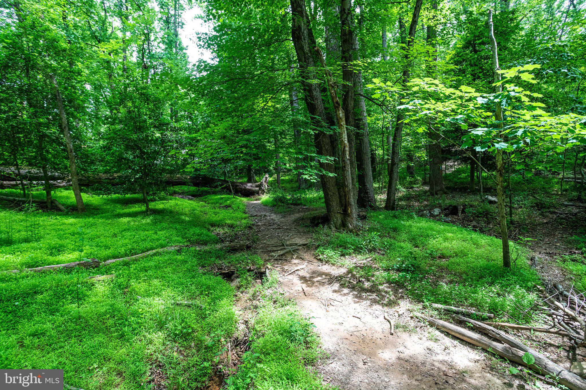 WOLF TRAP WOODS - Residential