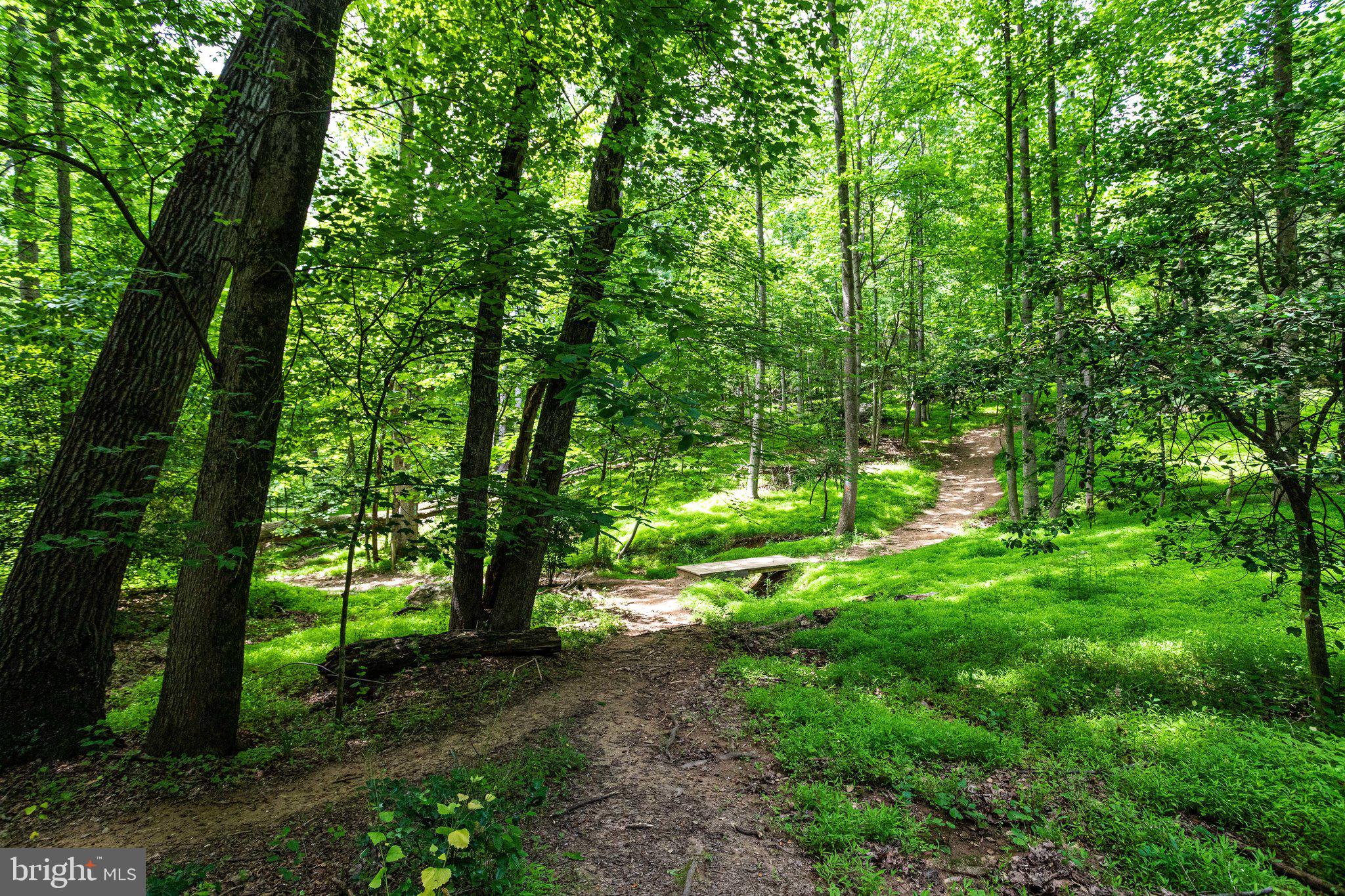 WOLF TRAP WOODS - Residential