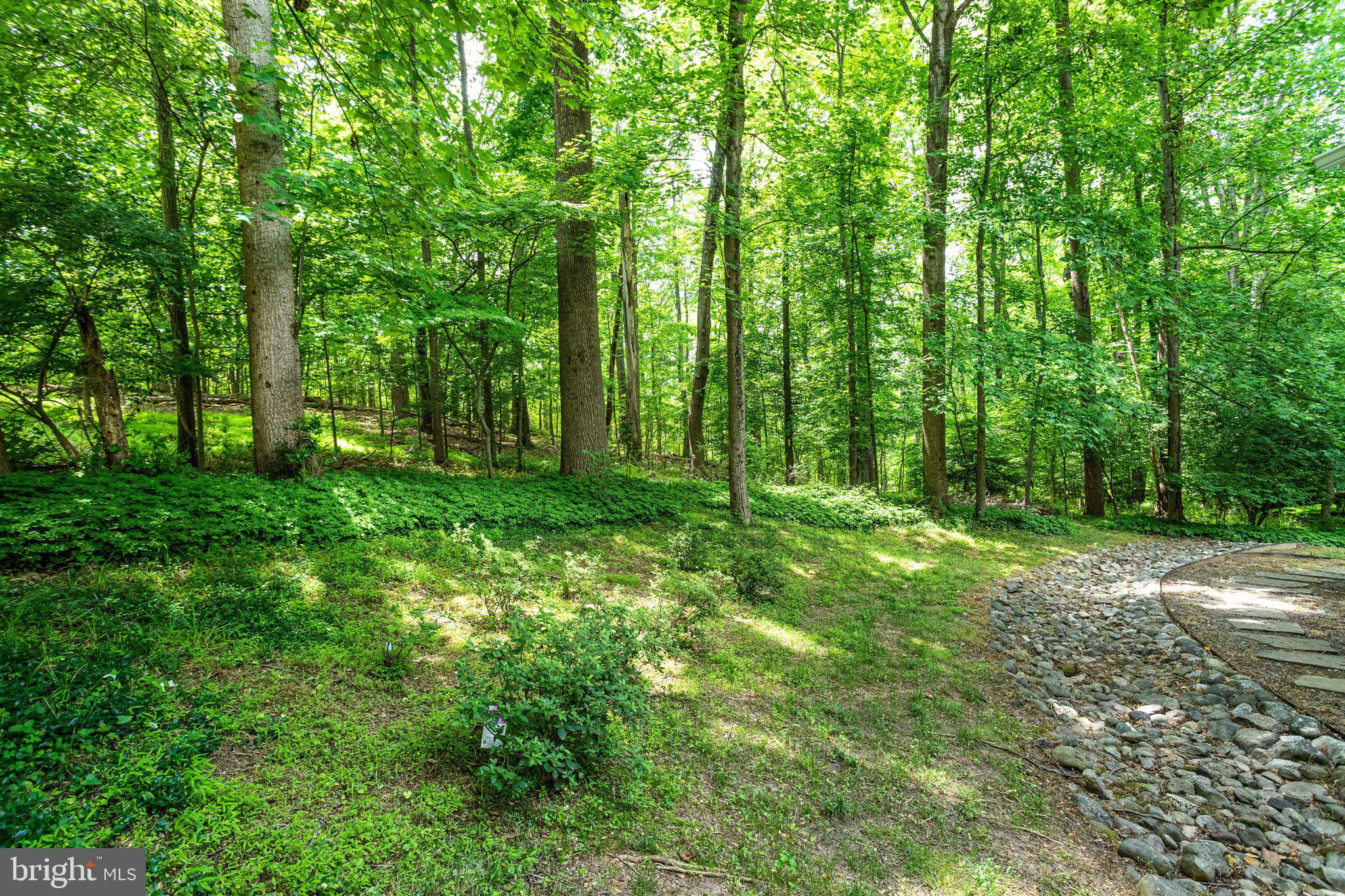 WOLF TRAP WOODS - Residential