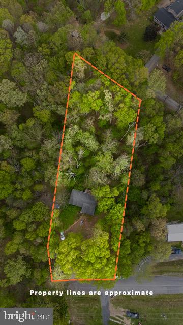 LEON  ZIEGER - Residential