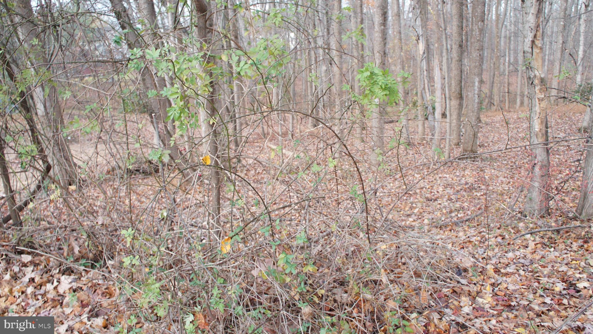 3140 SEARSMONT PLACE