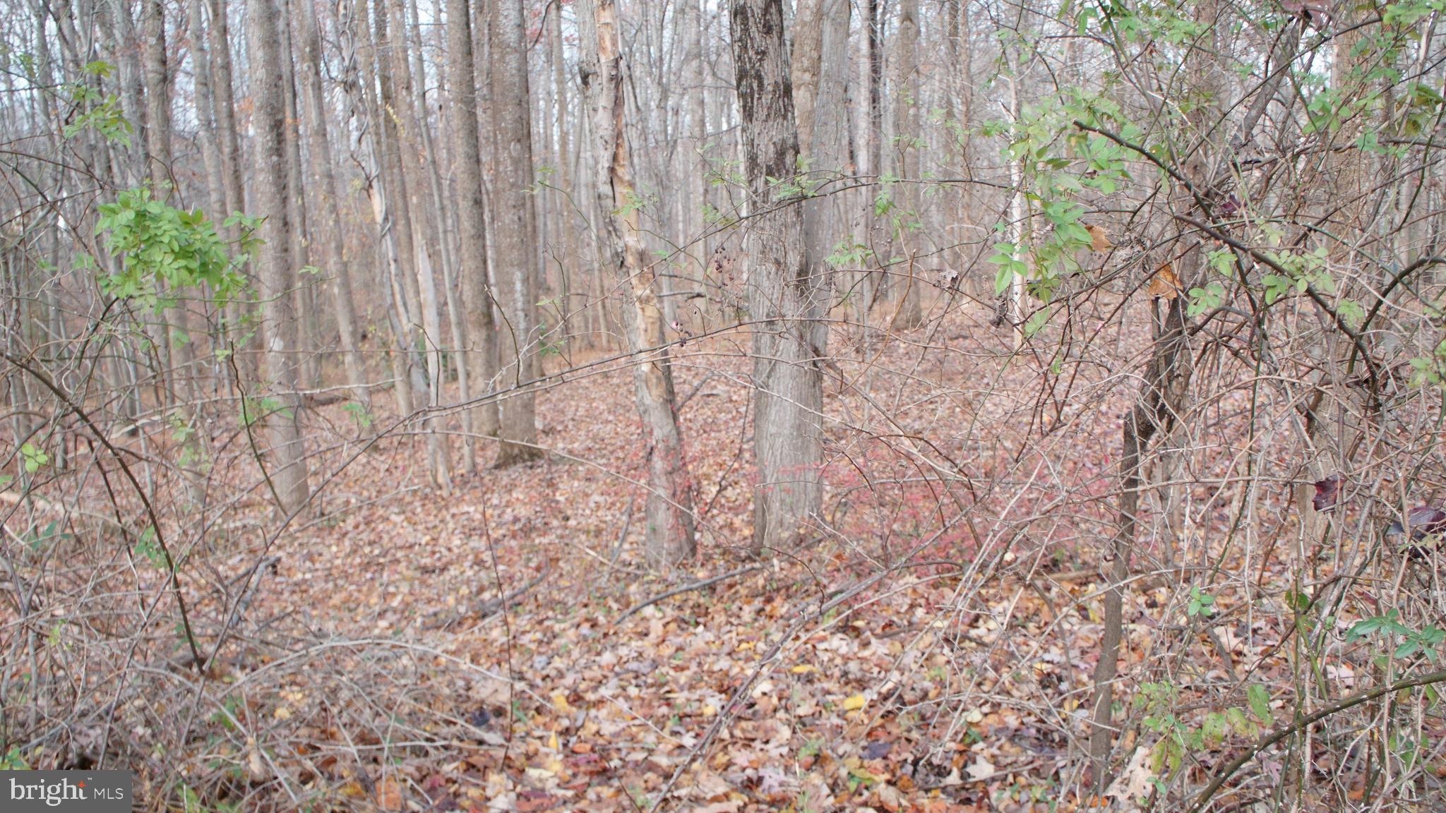 3140 SEARSMONT PLACE