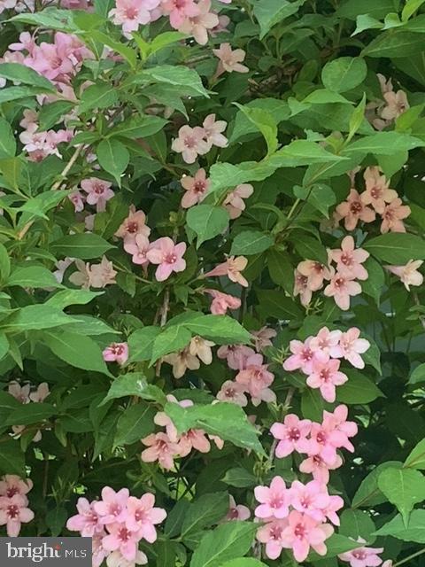 EAST FALLS - Residential