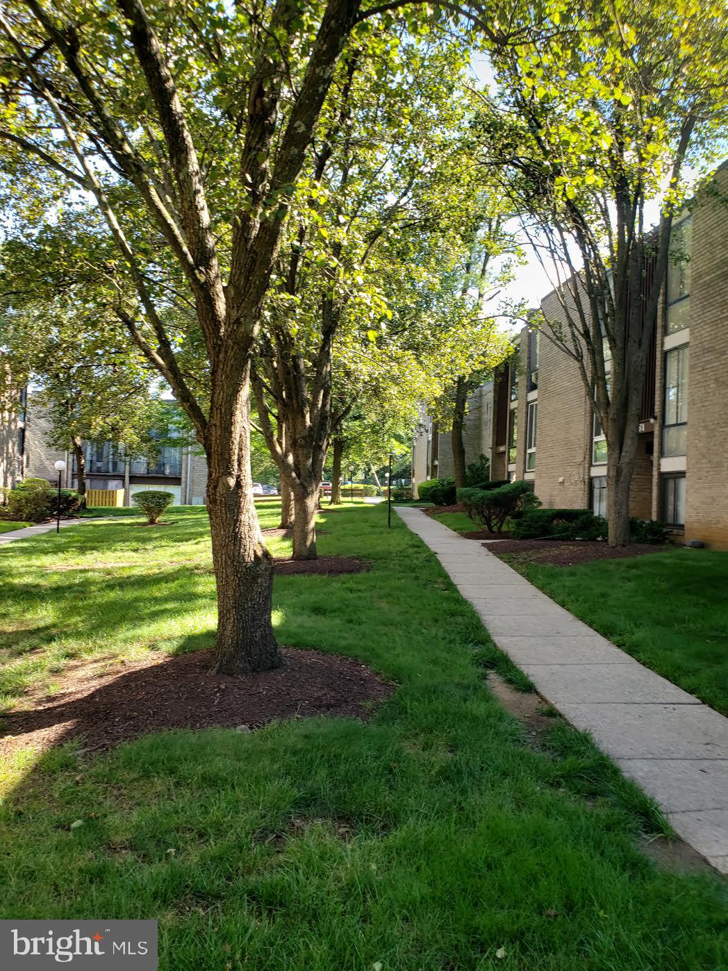 CHELSEA WOODS CONDO - Residential