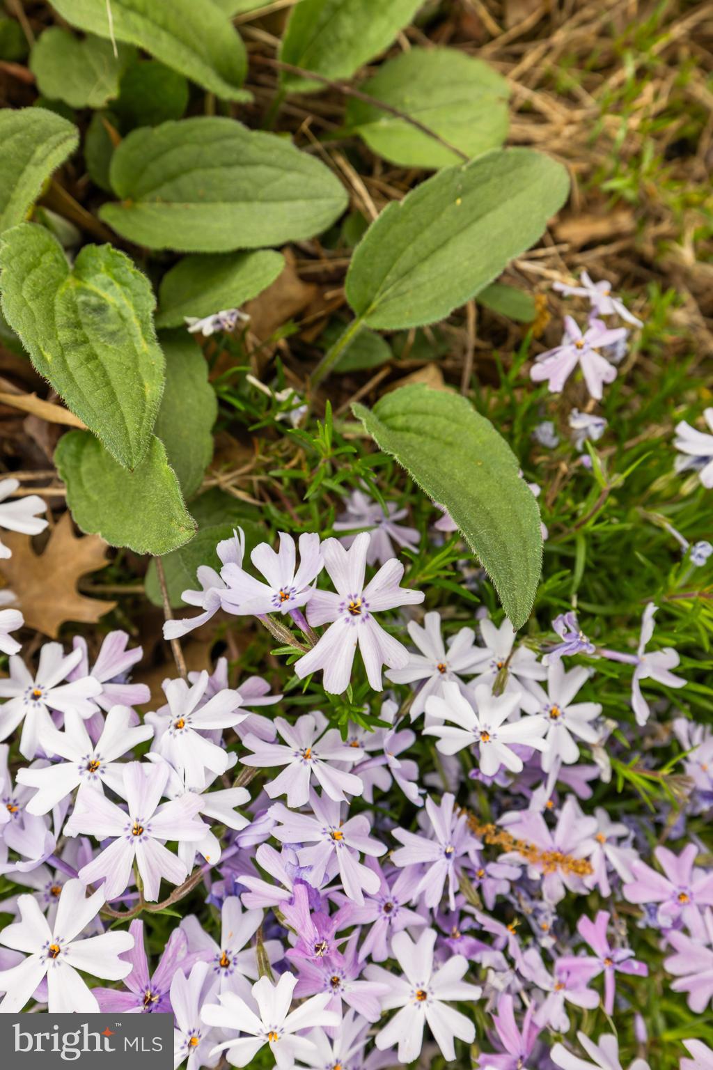 REHERD ACRES - Residential