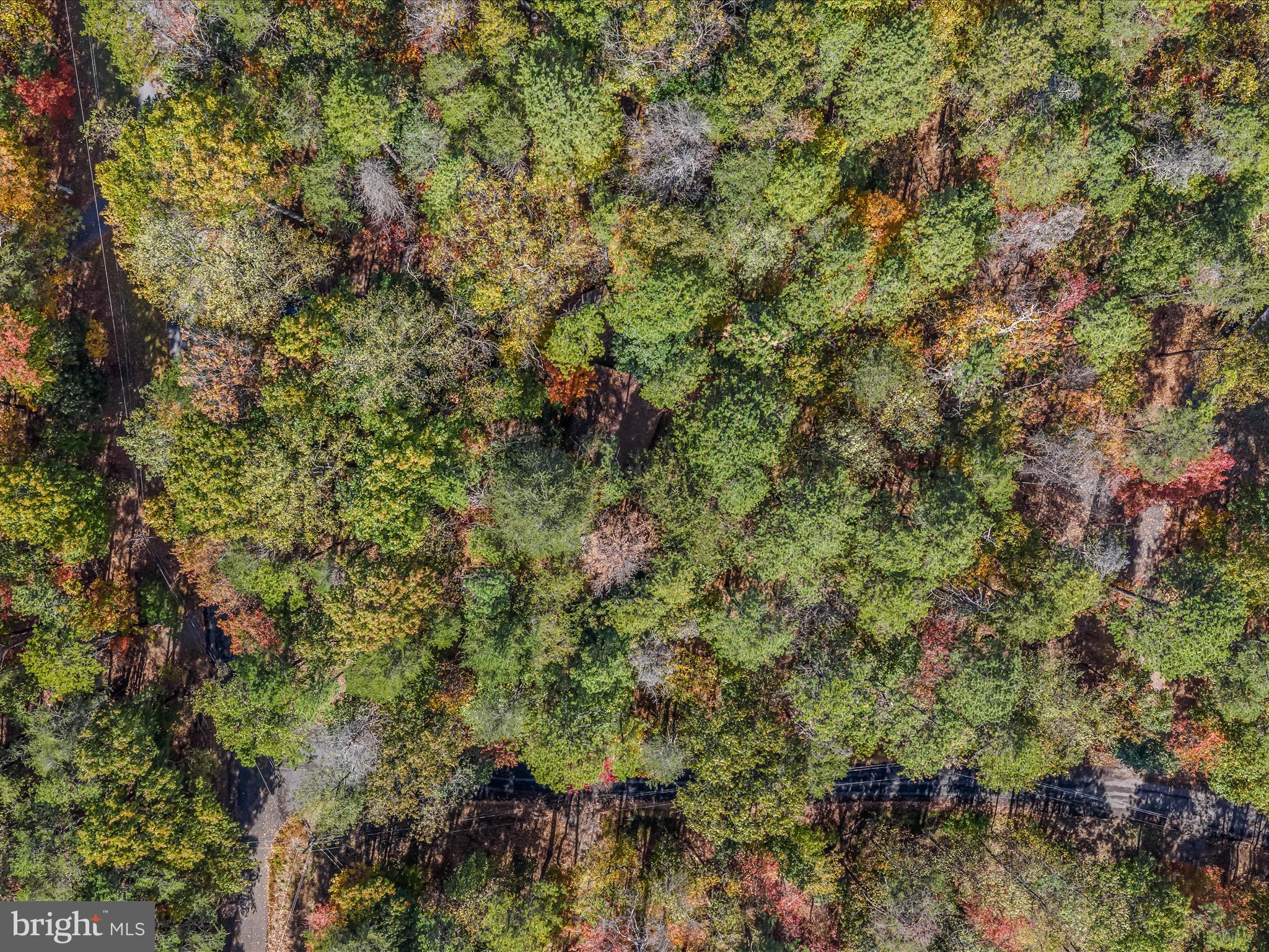 THE WOODS RESORT - Residential