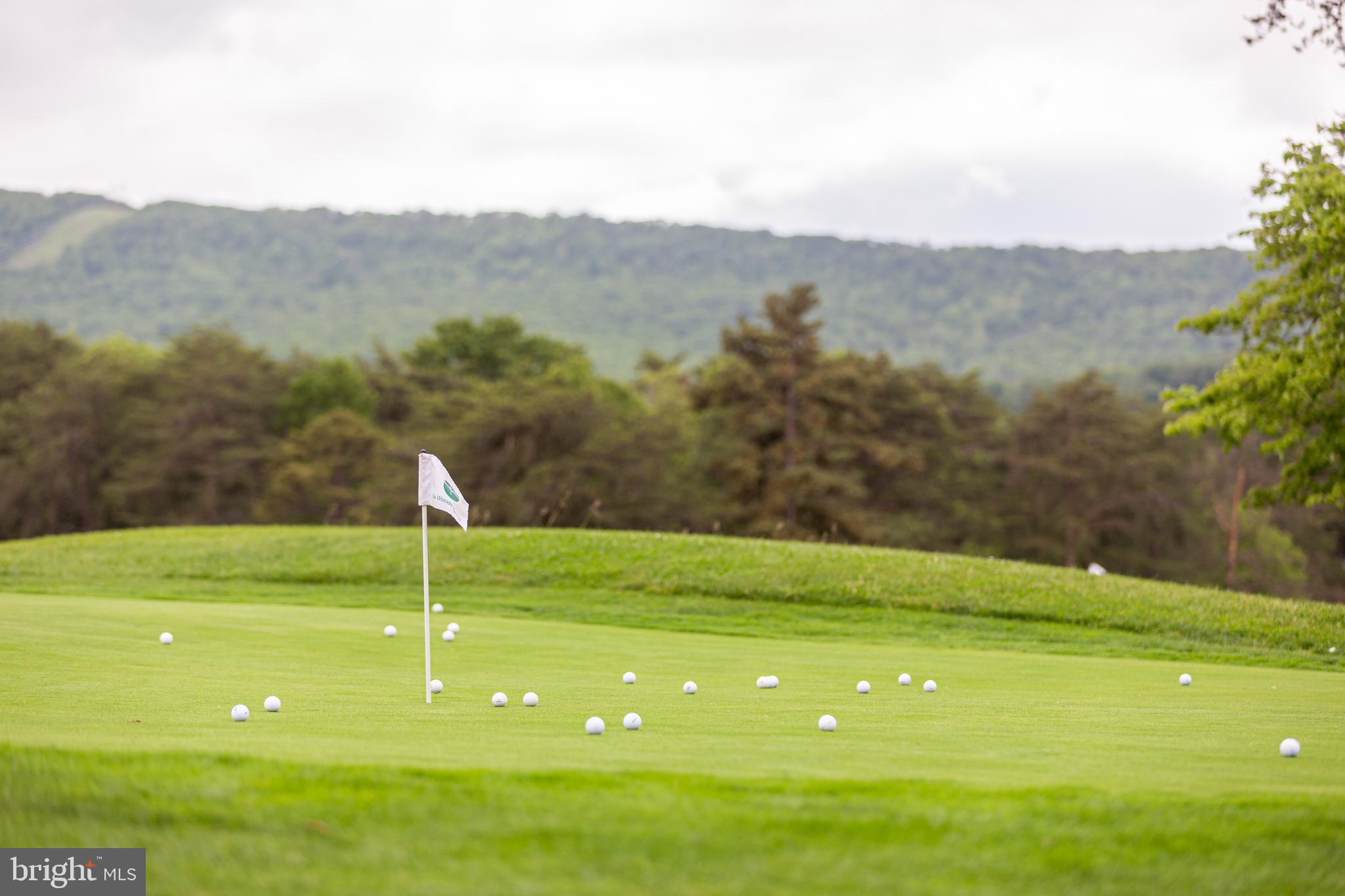 THE WOODS RESORT - Residential