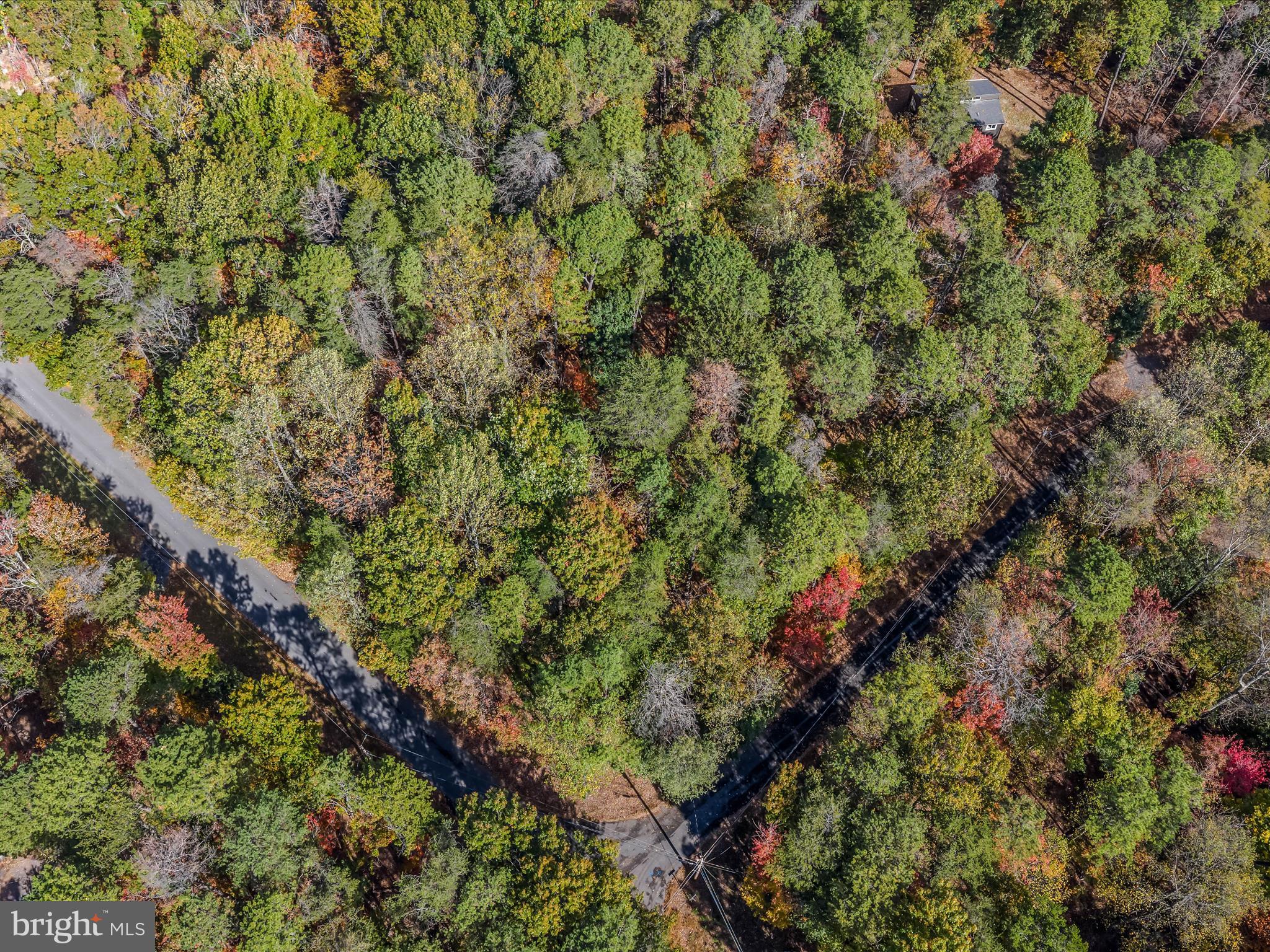 THE WOODS RESORT - Residential