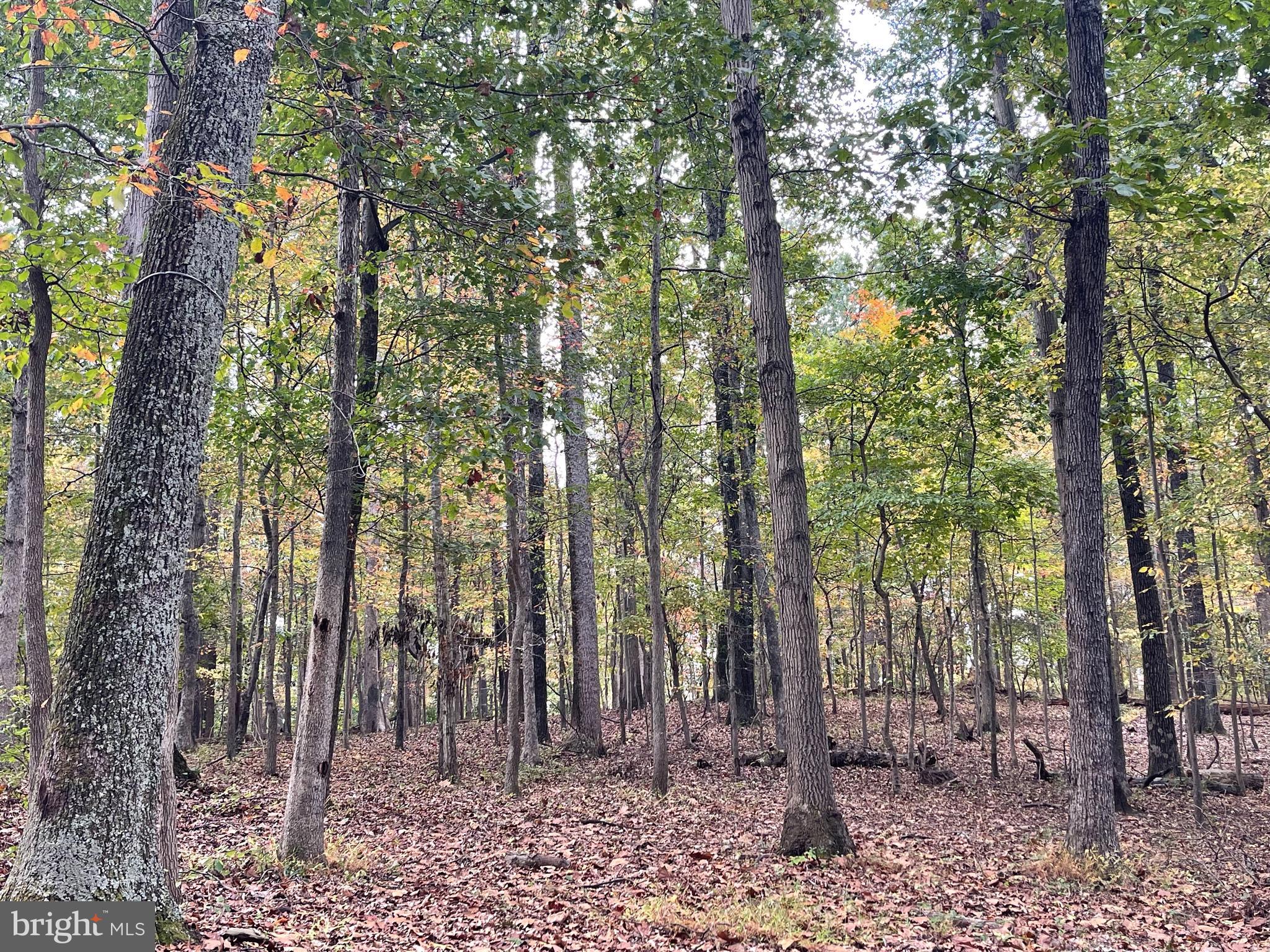 PT ROCKVILLE OUT RES. 3 - Residential