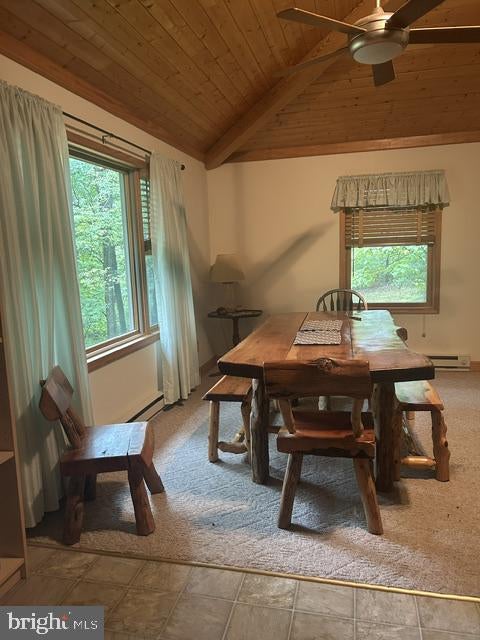 251 RIFFEY MOUNTAIN LANE