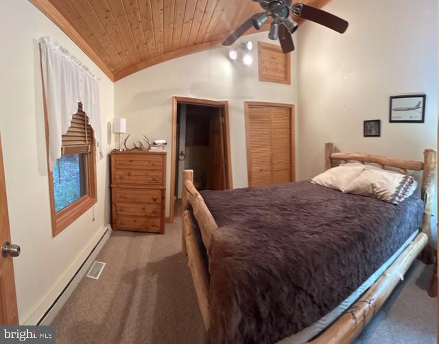 251 RIFFEY MOUNTAIN LANE