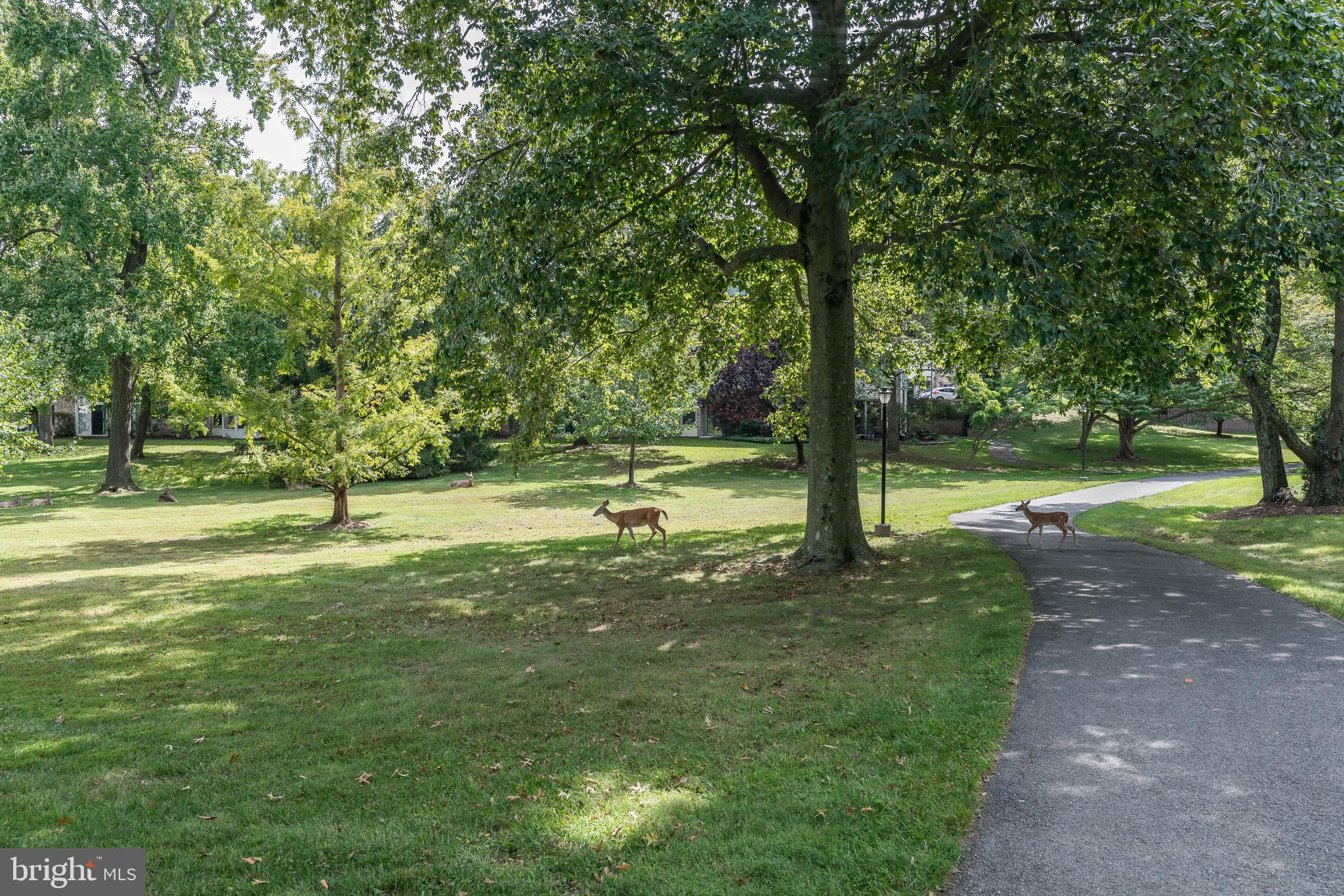 MONTGOMERY MUTUAL COOP - Residential