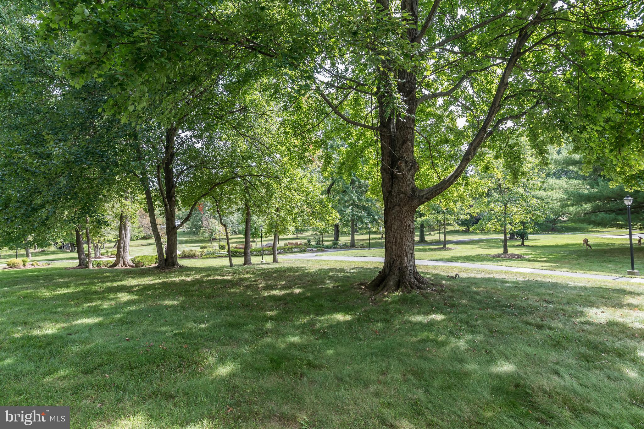 MONTGOMERY MUTUAL COOP - Residential