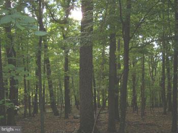 CAPON RIVER VISTA - Land