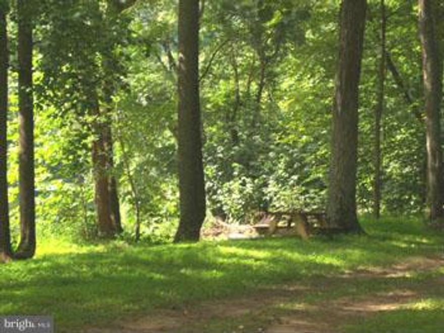 Cacapon River Access! This 5 acre lot has mature hardwoods and seasonal views, and a nice lay of land with several options for building, Cacapon River water access is nearby for all your recreational enjoyment. Fishing swimming and canoeing, all just waiting for you!