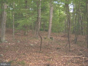 CAPON RIVER VISTA - Land