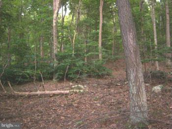 CAPON RIVER VISTA - Land