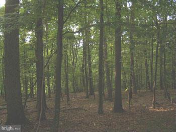 CAPON RIVER VISTA - Land