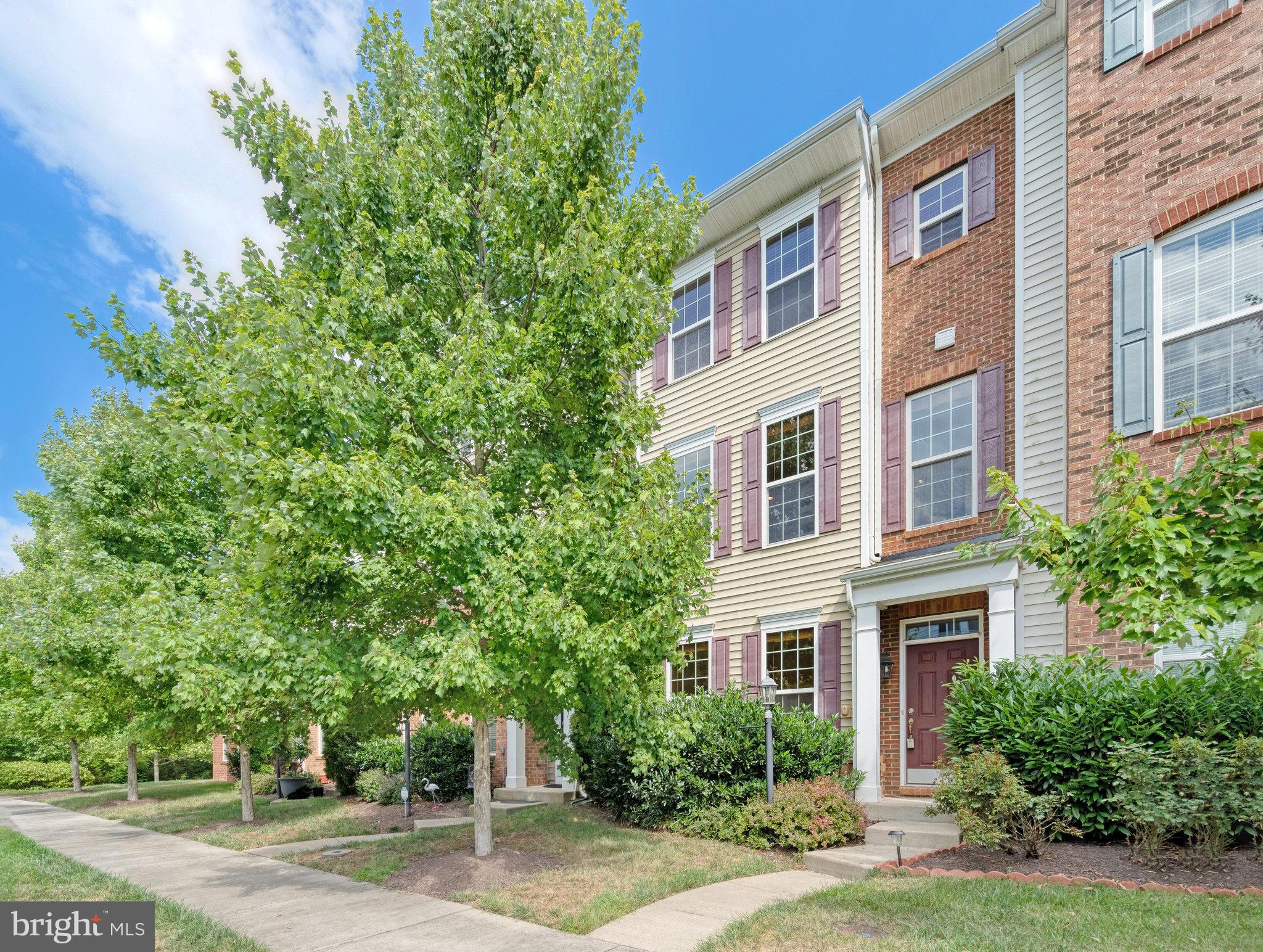 22653 VIENNA GREEN TERRACE