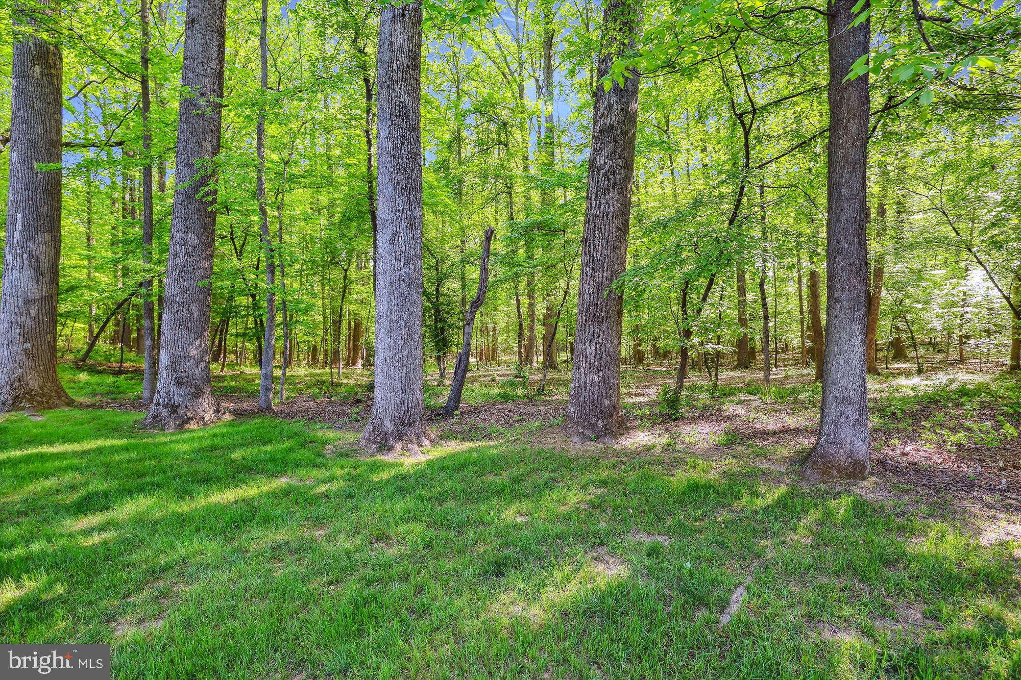 HAMPTON FOREST - Residential