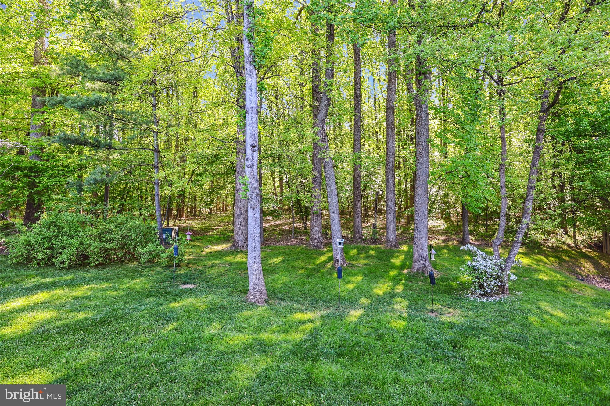 HAMPTON FOREST - Residential