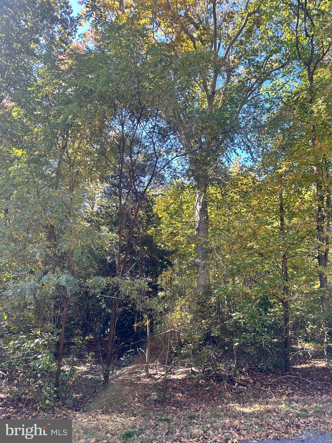 STRATFORD HARBOUR - Land