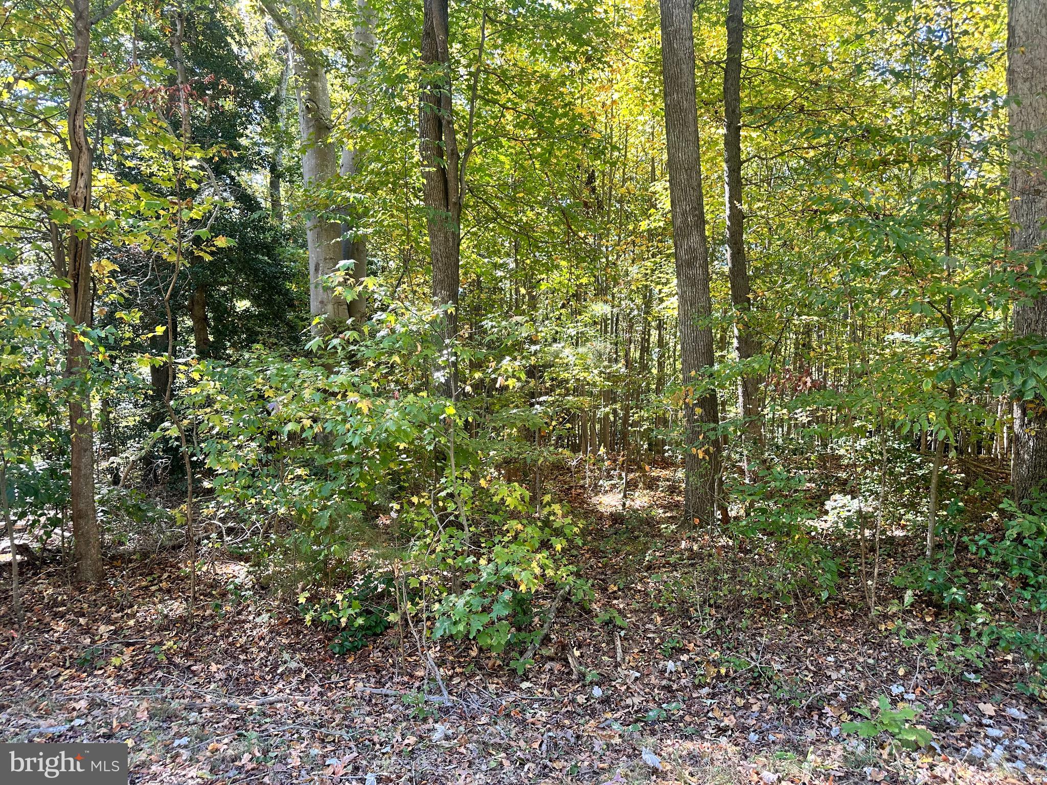 STRATFORD HARBOUR - Land