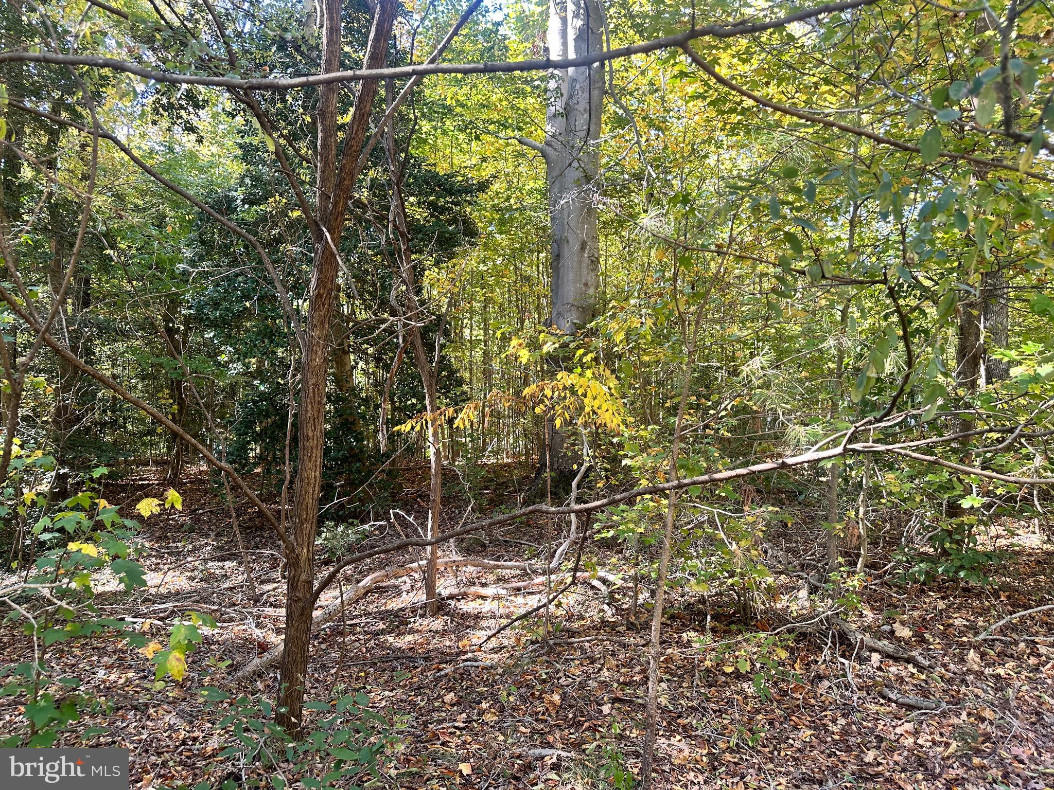 STRATFORD HARBOUR - Land