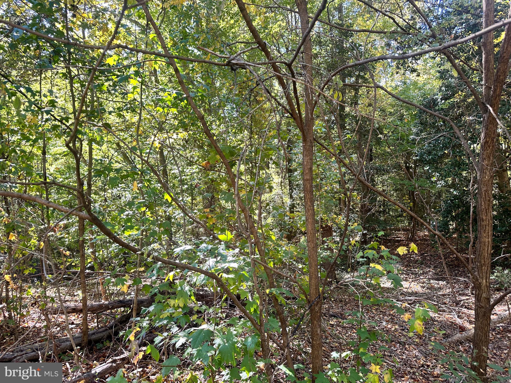 STRATFORD HARBOUR - Land