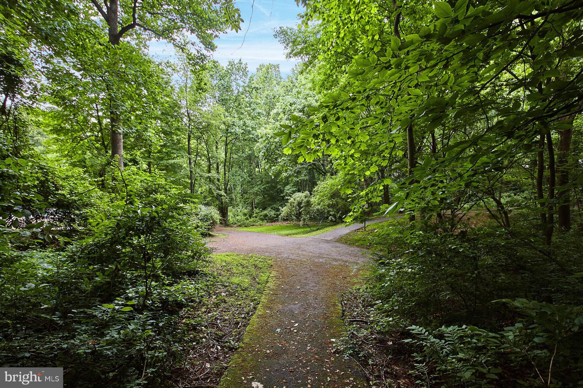 IVYMOUNT COURT - Residential Lease