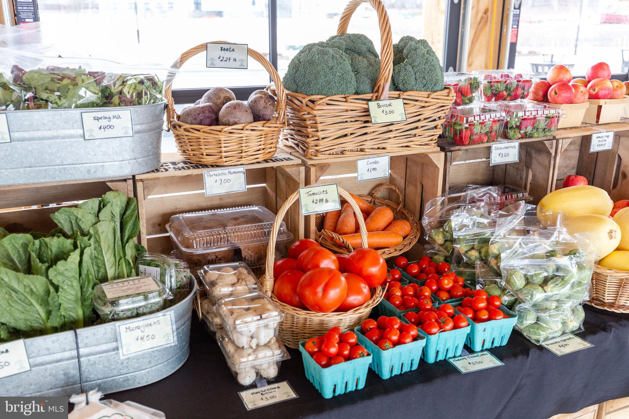 AMBLEBROOK - Residential