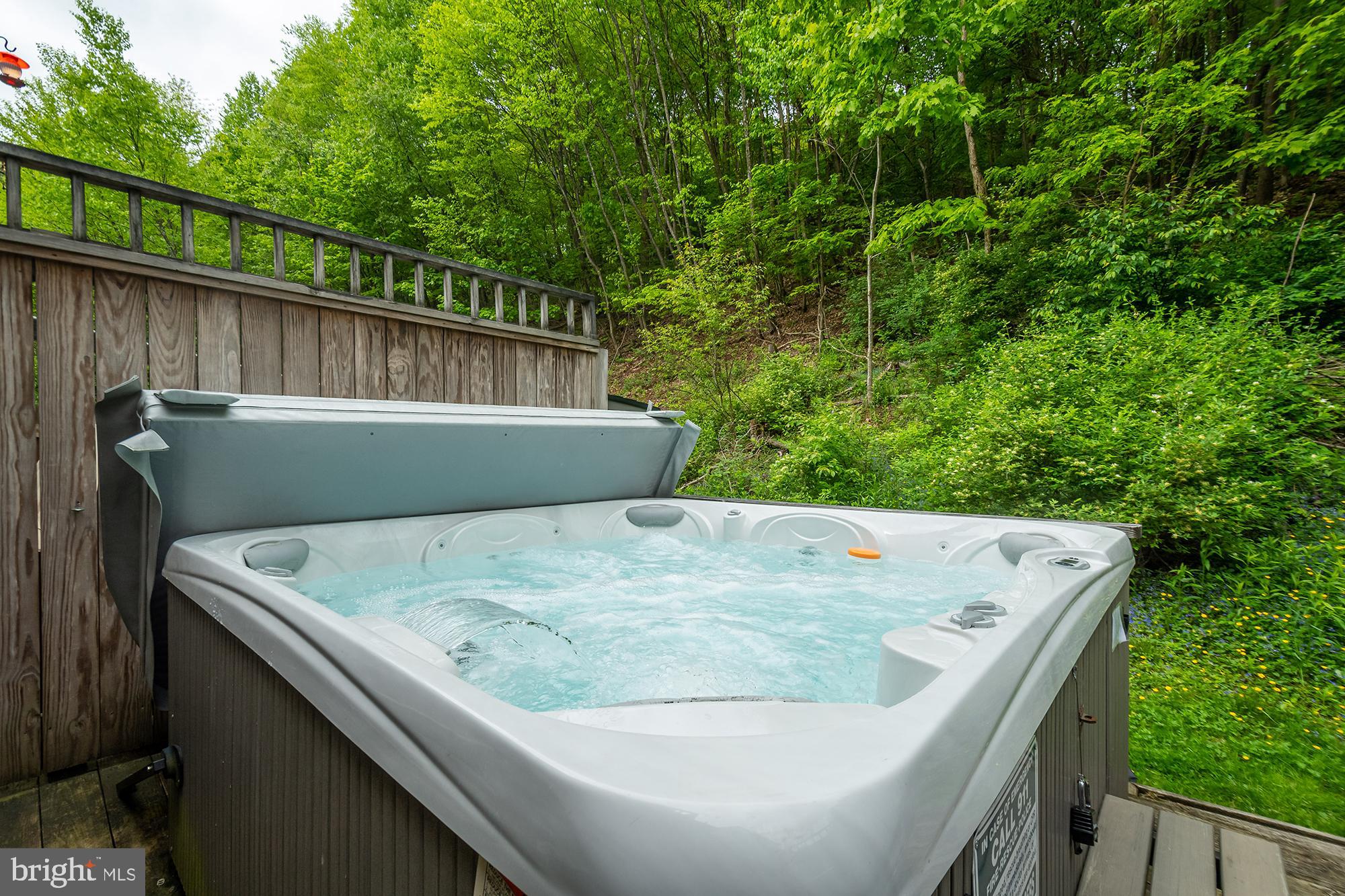 VILLAGES OF WISP - Residential