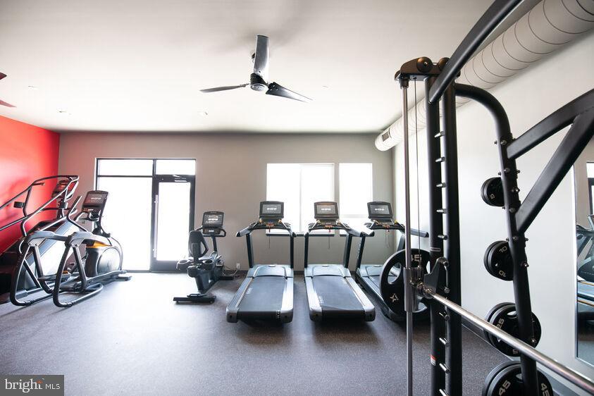 LANSDALE - Residential Lease