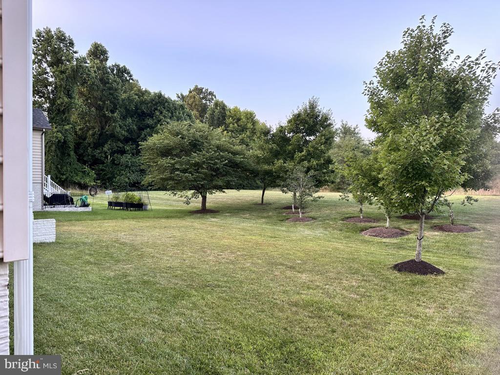 BALMORAL-PLAT 10> - Residential