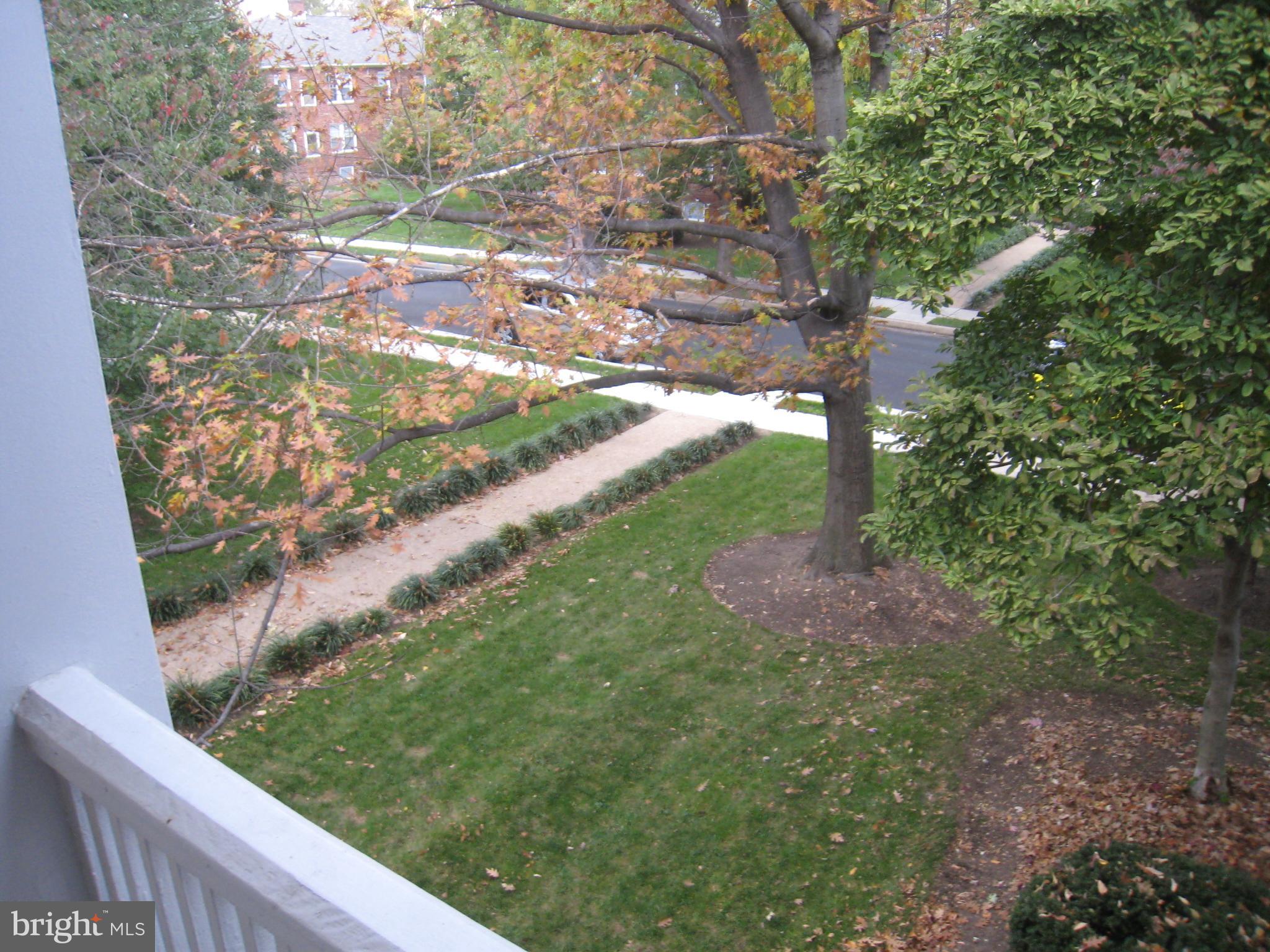 DEL RAY - Residential Lease