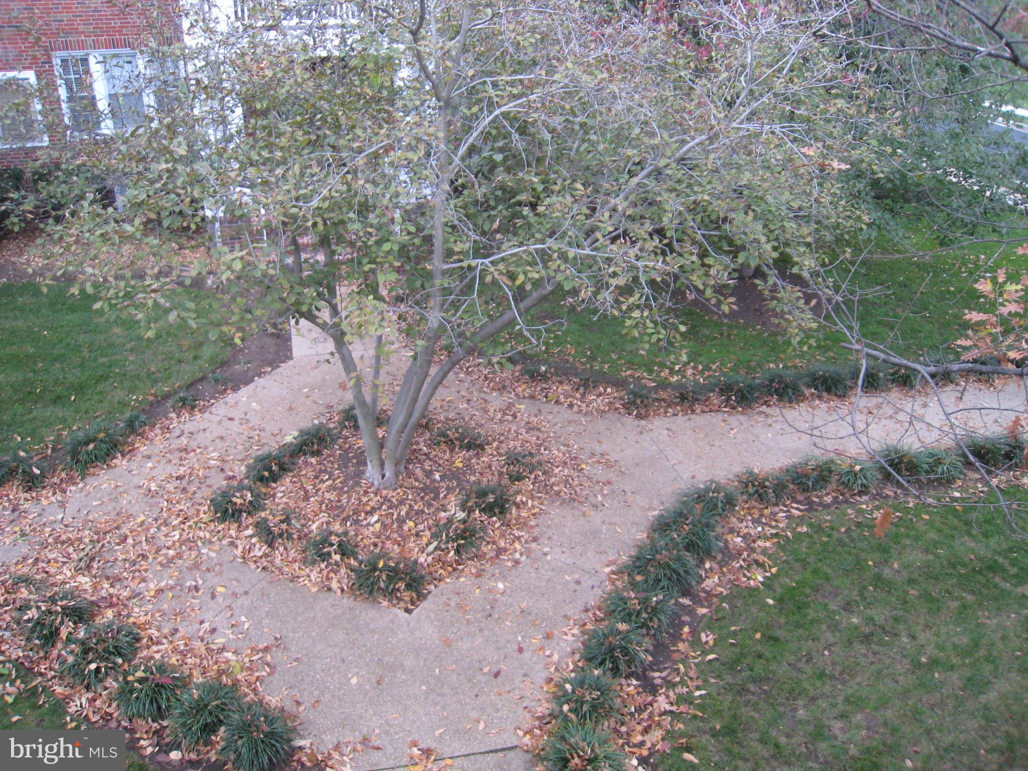 DEL RAY - Residential Lease