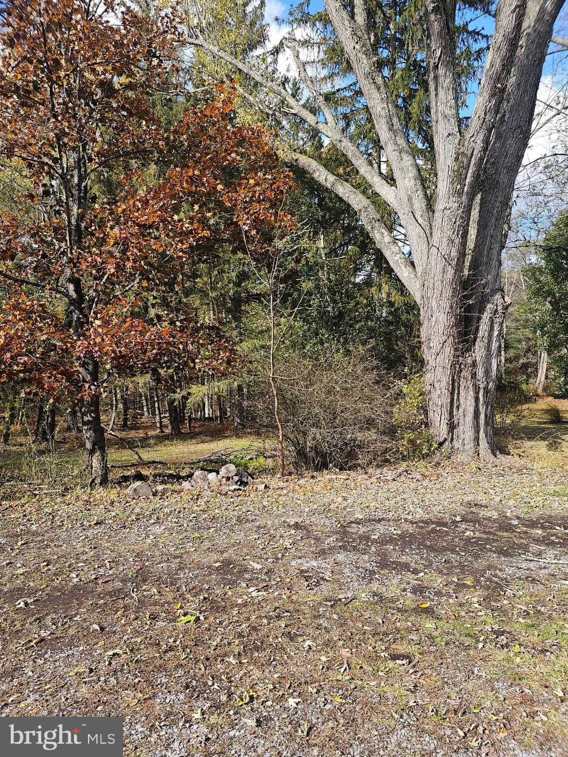 16301 BRICE HOLLOW ROAD SE