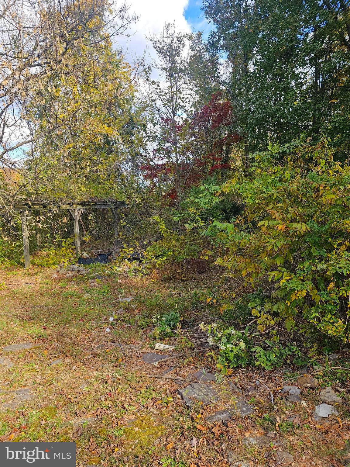 16301 BRICE HOLLOW ROAD SE