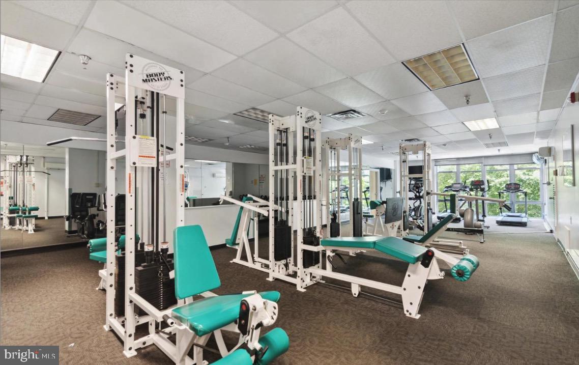 WYNNEFIELD HEIGHTS - Residential