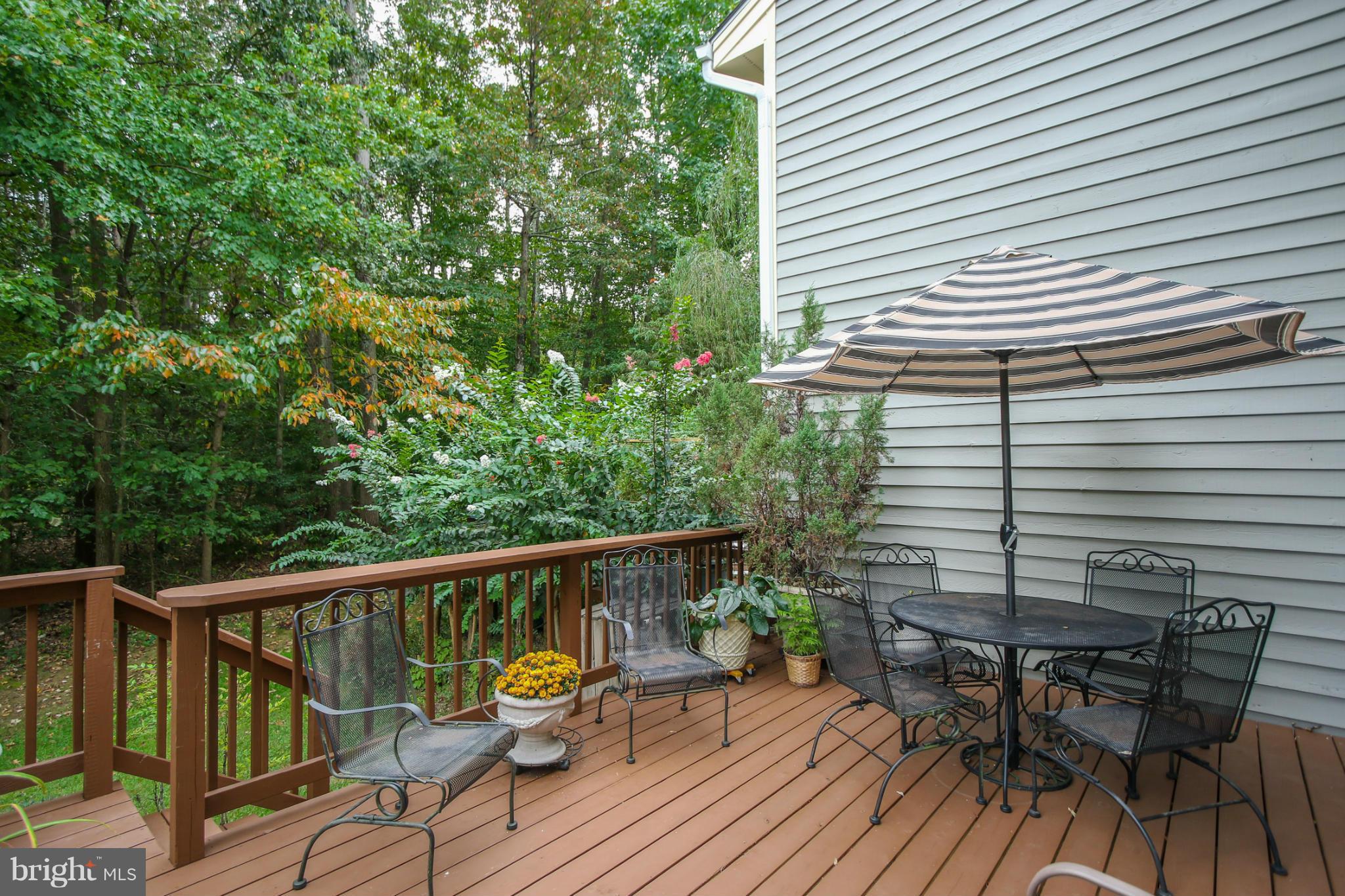 RIVA TRACE - Residential