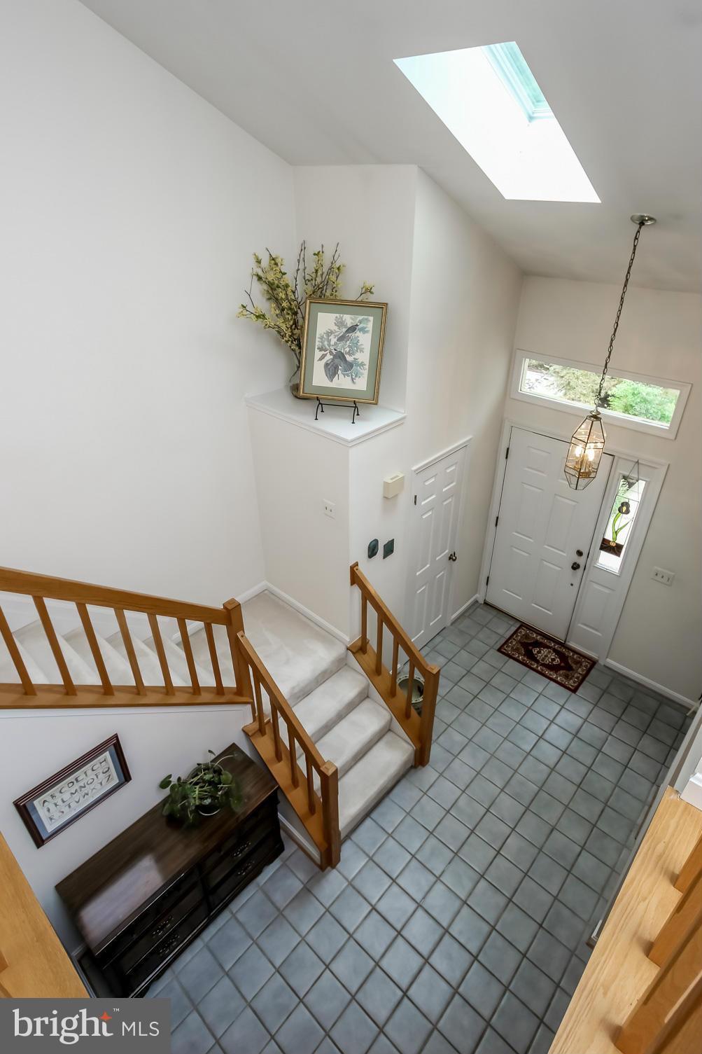 RIVA TRACE - Residential